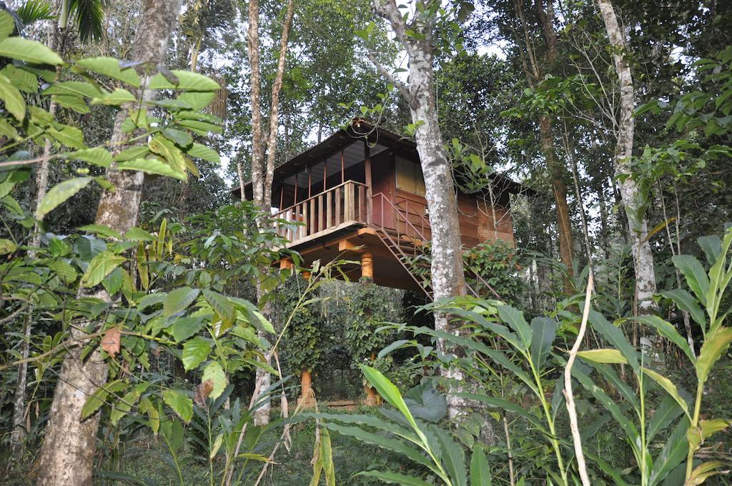 Sunbird Garden Resort Krishnagiri Oda fotoğraf