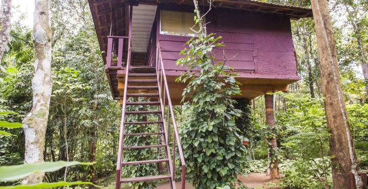 Sunbird Garden Resort Krishnagiri Dış mekan fotoğraf